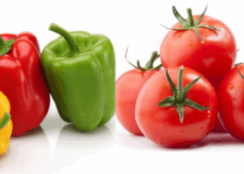 Les produits tunisiens bio &agrave; la conqu&ecirc;te de l'Am&eacute;rique et de l'Asie
