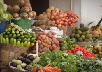 Nabeul : 864 ha de l&eacute;gumes et 794 ha d&rsquo;arbres fruitiers endommag&eacute;s