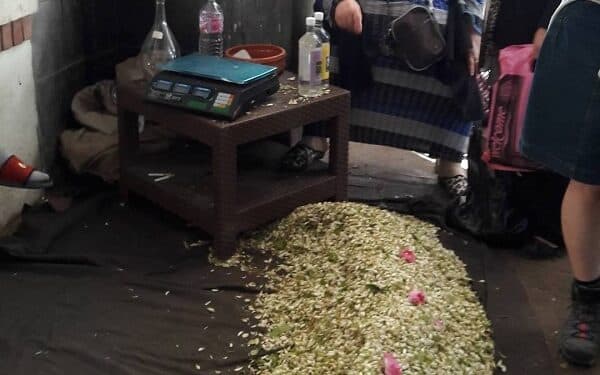 Au Marché Central, tous les effluves des roses, géraniums et fleurs d'oranger