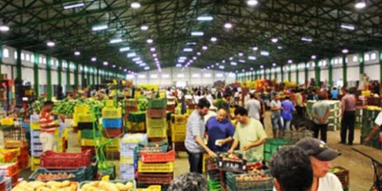 Tunisie : L'UTAP met en garde contre l'importation de légumes toxiques !