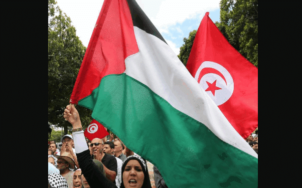 Tunisie : Manifestation en solidarité avec le peuple palestinien à la Kasbah