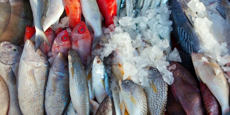 Tunisie : Les villages SOS et les hôpitaux ont bénéficié du don mauritanien de poissons
