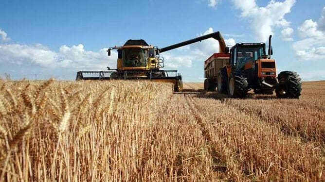 Tunisie : La r&eacute;colte c&eacute;r&eacute;ali&egrave;re estim&eacute;e &agrave; 8,5 millions de quintaux