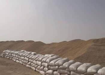 Céréales : A Siliana, l'Armée intervient pour sauver la récolte