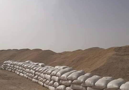 Céréales : A Siliana, l'Armée intervient pour sauver la récolte