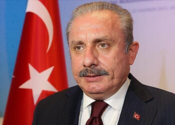 Le président du Parlement turc : "Le coup d'Etat militaire en Tunisie est illégitime"