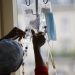 Un produit d'alimentation parentérale contaminé derrière la mort des bébés