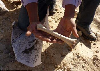 Tunisie : Nouvelle d&eacute;couverte de traces d&rsquo;Homo sapiens