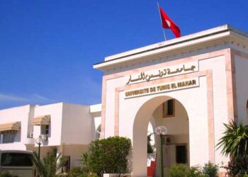 Classement de Shanghai : L'Université Tunis-El Manar, meilleure université au Maghreb