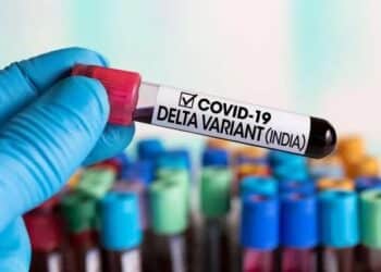 Une nouvelle mutation détectée sur le variant indien... doit-on s'inquiéter ?