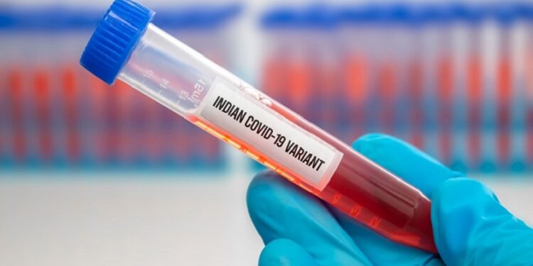 Covid-19 : Le variant indien classé comme "préoccupant" par l'OMS