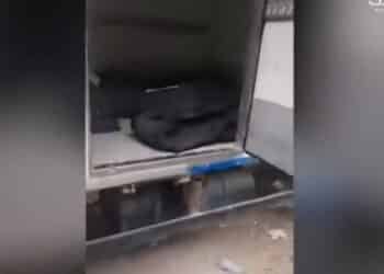 Vid&eacute;o choquante : Un camion frigorifique rempli de d&eacute;pouilles &agrave; l'h&ocirc;pital La Rabta !