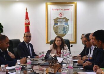Tunisie - Sécurité énergétique : L’État lance son plan d’action
