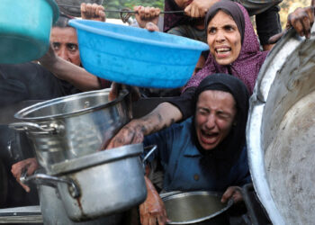 Gaza : 111 ONG alertent sur une famine de masse orchestrée, Paris hausse le ton