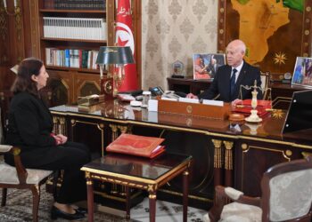 Kaïs Saïed met en garde : "Trop de services publics inefficaces"