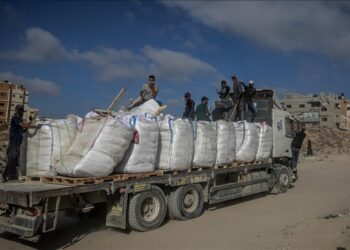 Gaza : Les camions d’aide humanitaire pillés avec la complicité de l’entité sioniste