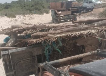 L’État reprend ses plages, opérations coup de poing à Soliman