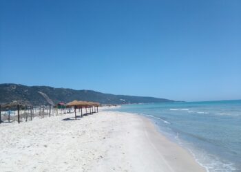 Entre Tunis et Bizerte : Cette belle route punique, romaine et andalouse