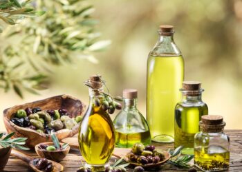 Scandinavian International Olive Oil Competition : La Tunisie triomphe avec 64 médailles