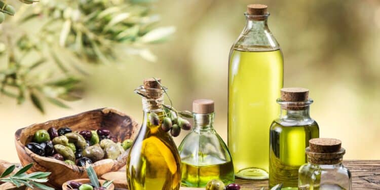 Scandinavian International Olive Oil Competition : La Tunisie triomphe avec 64 médailles