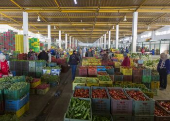 Flambée des prix au marché de gros : Les oranges en tête avec +300% en un an