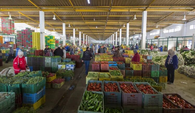 Flambée des prix au marché de gros : Les oranges en tête avec +300% en un an