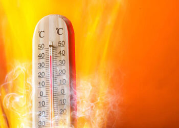 Vague de chaleur en Tunisie : Jusqu’à 48°C attendus d’ici vendredi