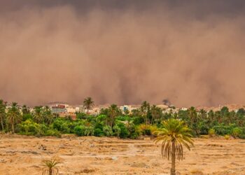 Tunisie - Météo : Vents soutenus sur les côtes nord, orages localisés à l’intérieur