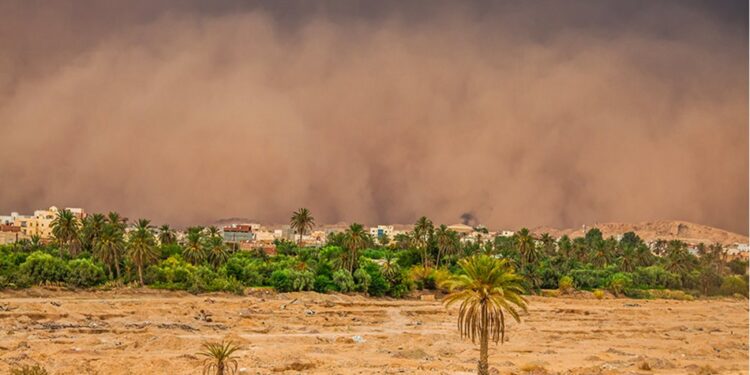 Tunisie - Météo : Vents soutenus sur les côtes nord, orages localisés à l’intérieur