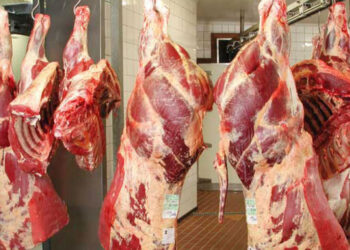 20 tonnes de viande importées pour contrer la flambée des prix
