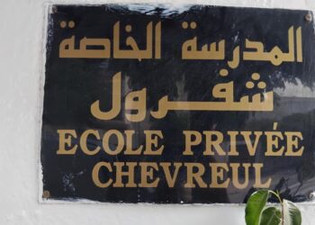 Snapshot : Les soixante-dix ans de l'école Chevreul
