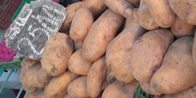Tunisie : Plafonnement des prix de la pomme de terre et des marges sur le poisson