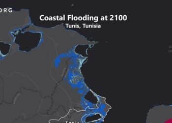 Montée des eaux en Tunisie : Le Grand Tunis menacé d'ici 2100