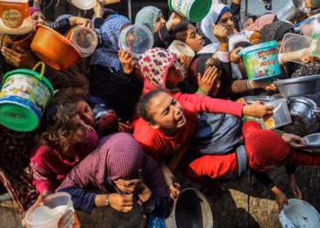 Gaza : Vingt agences humanitaires pressent l’ONU d’intervenir pour stopper le génocide