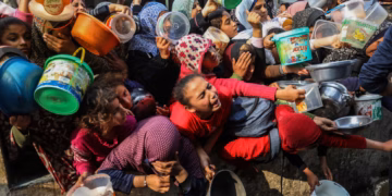 Gaza : Vingt agences humanitaires pressent l’ONU d’intervenir pour stopper le génocide