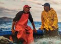 Exposition "Mer de Sicile et Tunisie" : Pêcheurs de Trapani et lumières de Mahdia