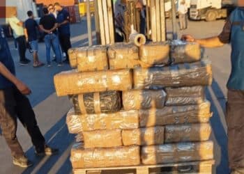 Port de Radès : La Douane met la main sur 572 kg de cannabis