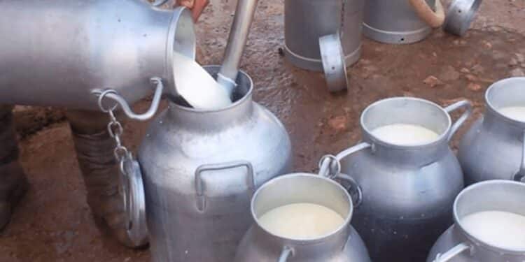 Tunisie : Le stock de régulation du lait frais stérilisé fixé à 19,7 millions de litres pour 2025