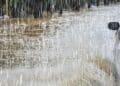 Météo : Pluies orageuses attendues cet après-midi sur la Tunisie