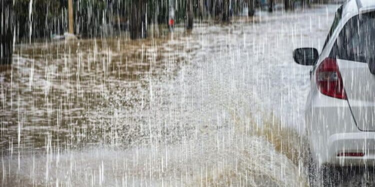 Météo : Pluies orageuses attendues cet après-midi sur la Tunisie