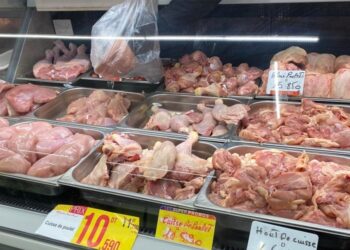 Poulet à prix régulé : 18 tonnes distribuées à 8 dinars la pièce