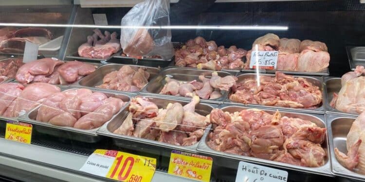 Poulet à prix régulé : 18 tonnes distribuées à 8 dinars la pièce