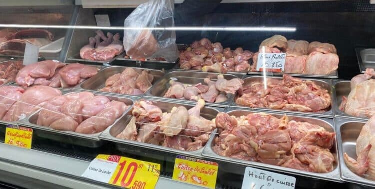 Poulet à prix régulé : 18 tonnes distribuées à 8 dinars la pièce