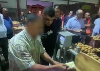 Tunisie : Plus de vingt grossistes et intermédiaires arrêtés dans une opération anti-spéculation