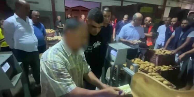 Tunisie : Plus de vingt grossistes et intermédiaires arrêtés dans une opération anti-spéculation