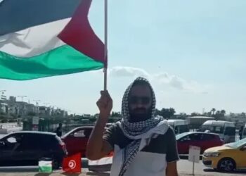 La Flottille de la Liberté interceptée par Israël : 145 activistes arrêtés dont le Tunisien Ali Kanis