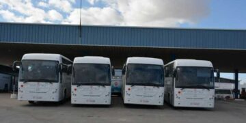 Bus