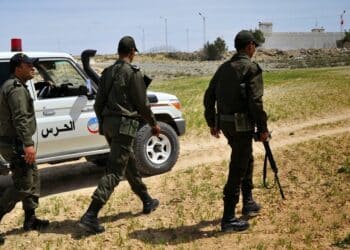 Un réseau tuniso-libyen de trafic de drogue démantelé