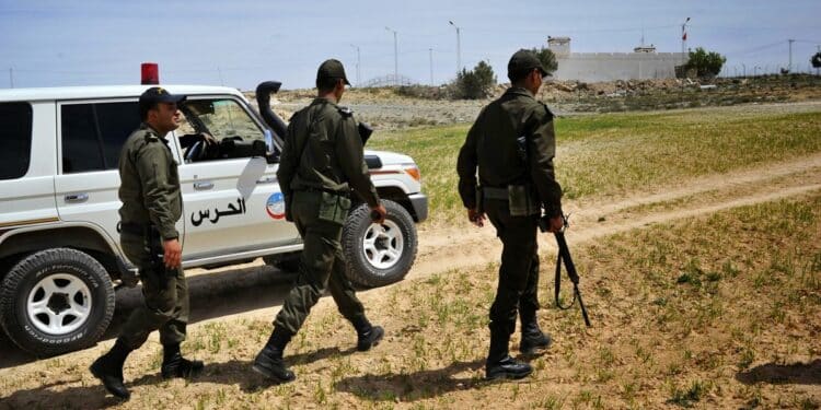 Un réseau tuniso-libyen de trafic de drogue démantelé