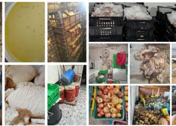 (INSSPA) a annoncé la saisie de plus de 29 tonnes de denrées alimentaires et près de 4 000 litres d’eau impropre